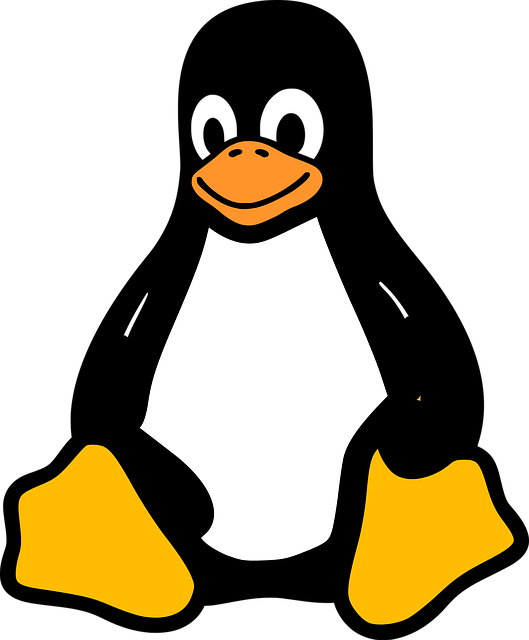 Linux Penguin