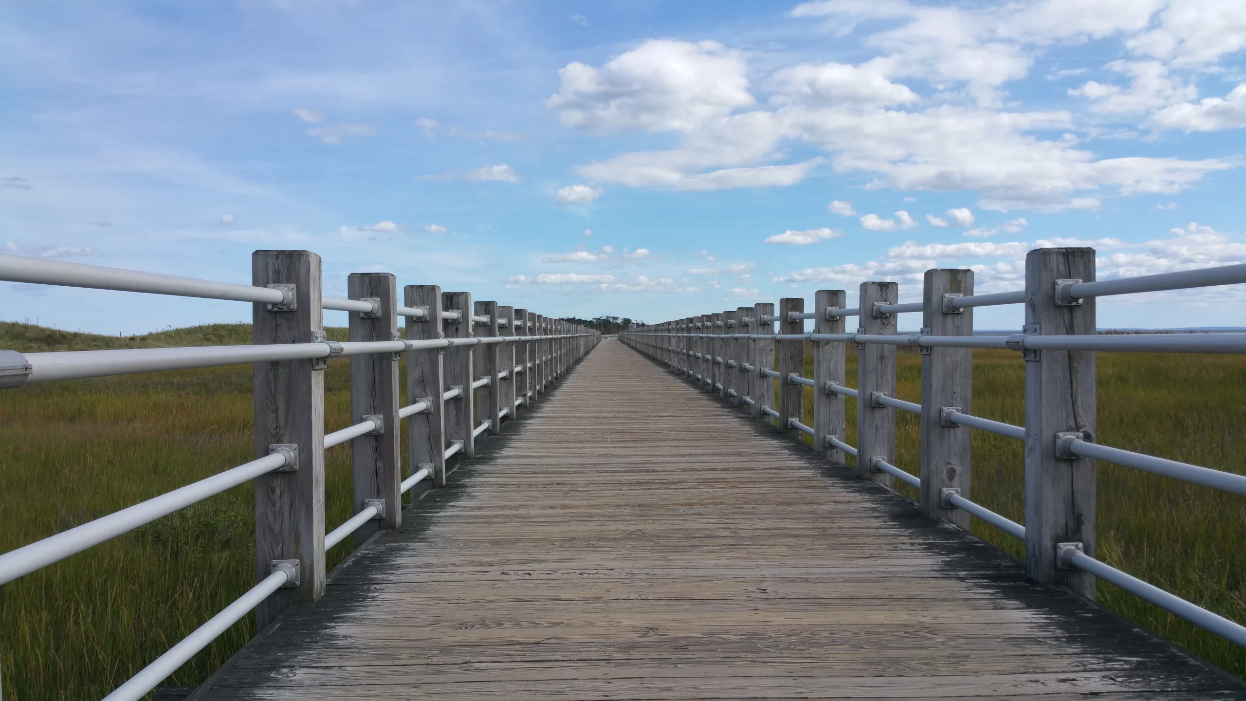 Our Path